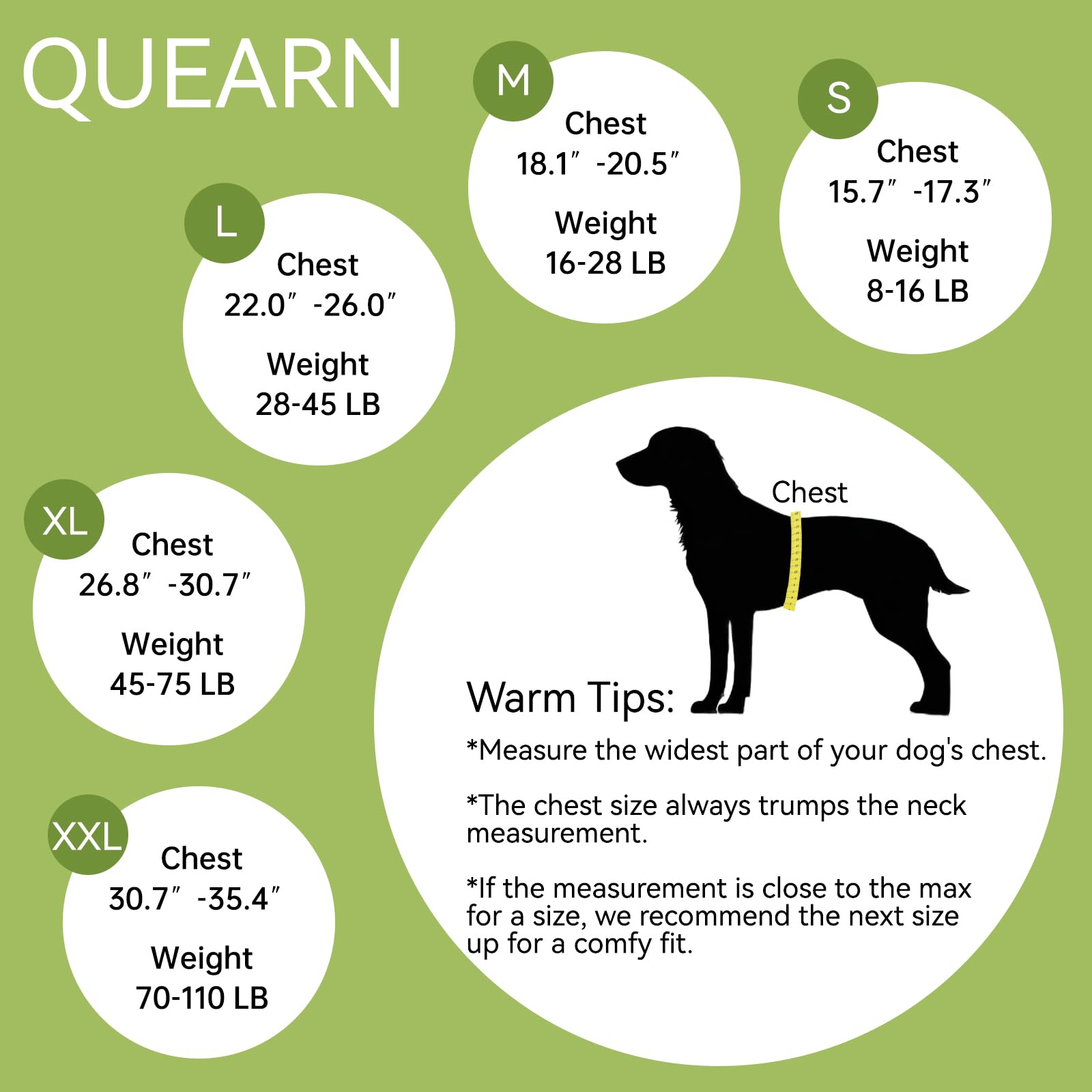 QUEARN dog recovery suit size small on a small dog for a snug, comfy fit