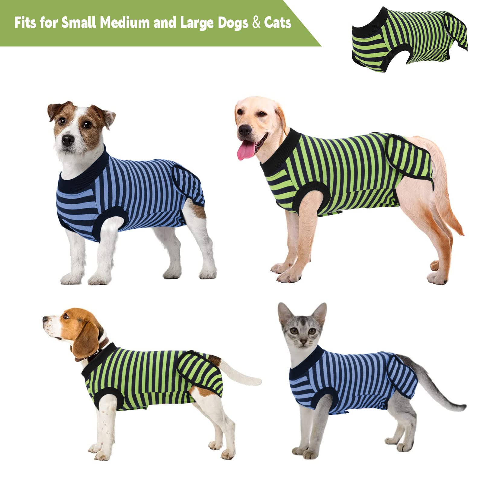 QUEARN soft cotton knit texture for breathable dog wear
