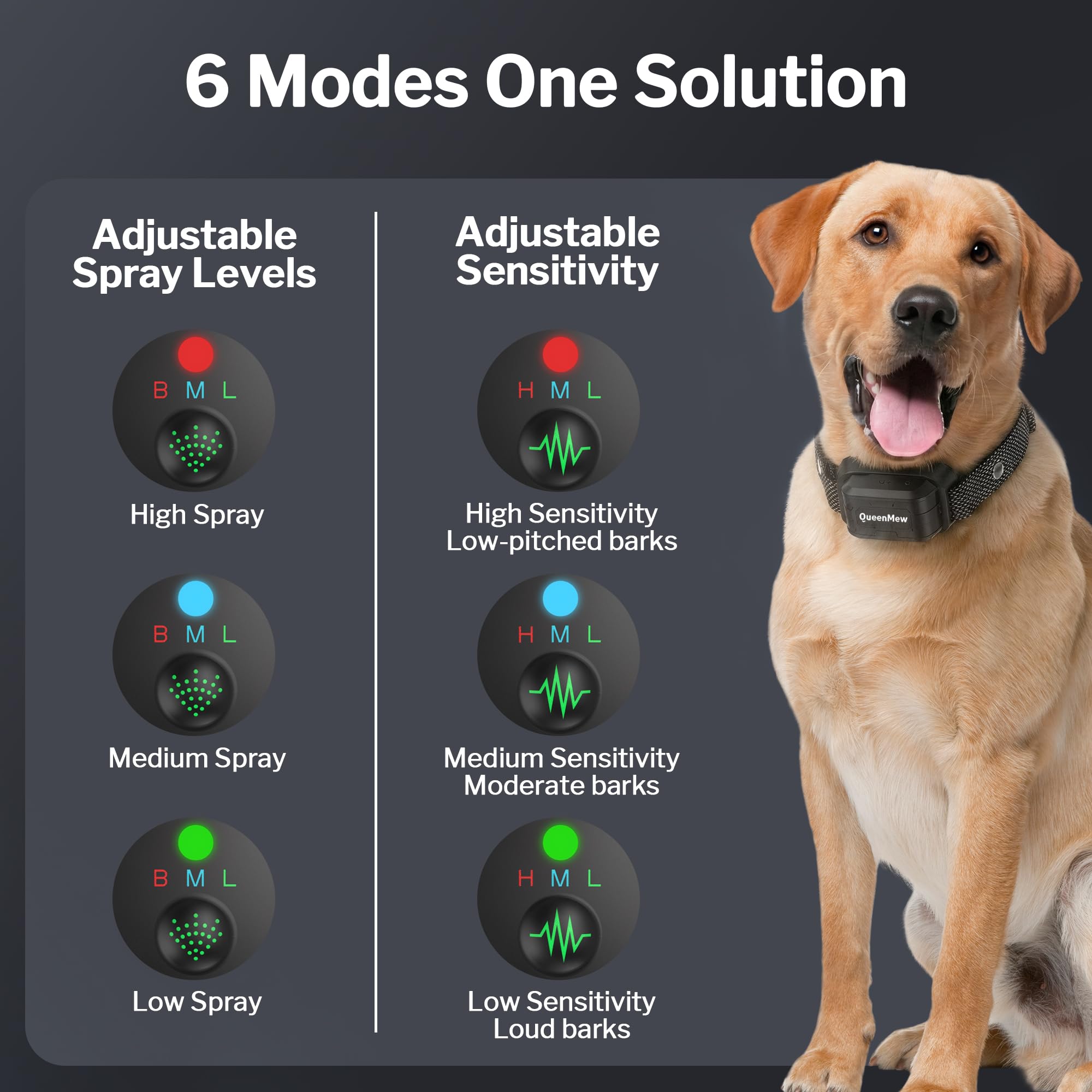 Queenmew citronella spray nozzle demonstrates safe, humane deterrence during barking episodes.