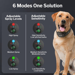 Queenmew citronella spray nozzle demonstrates safe, humane deterrence during barking episodes.
