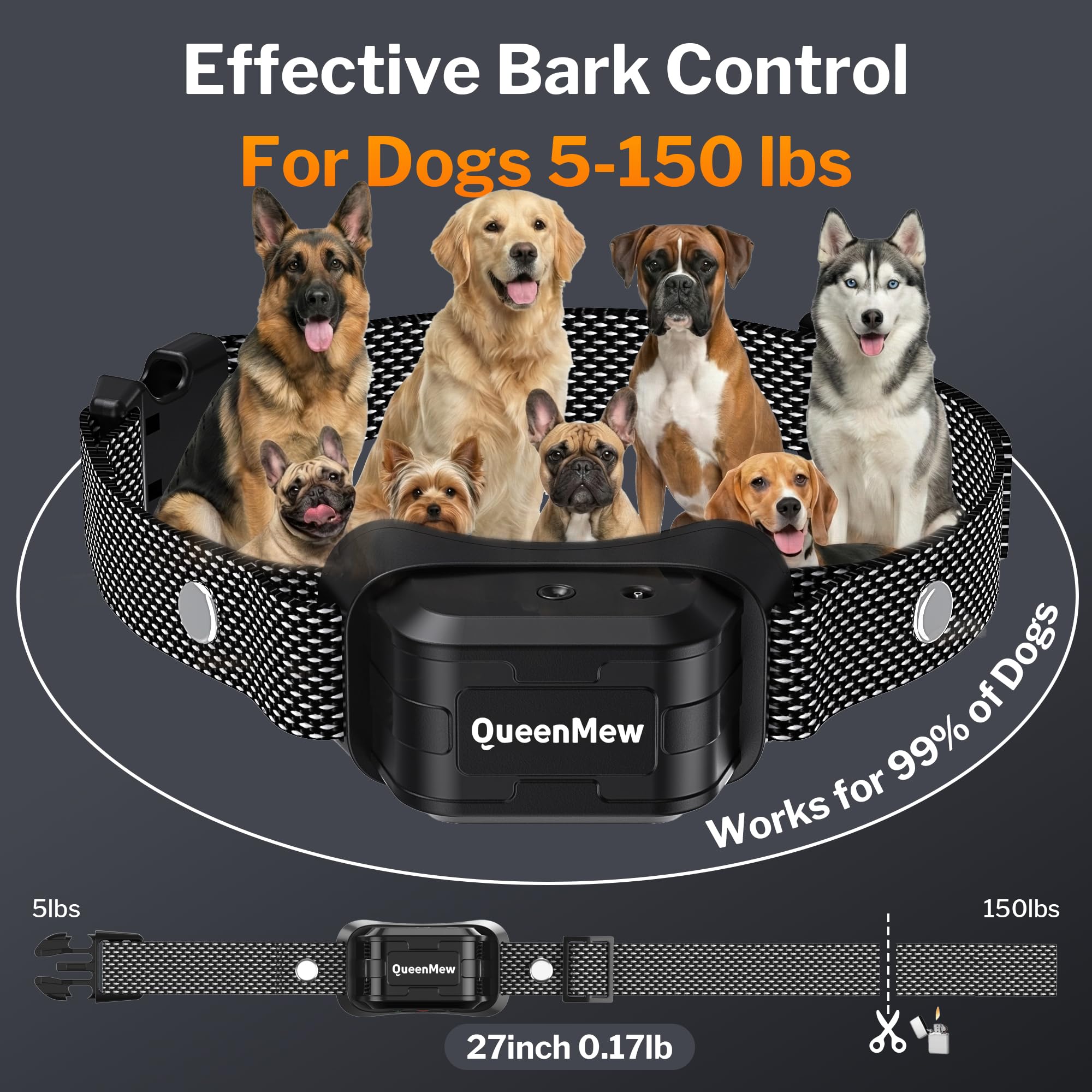 Queenmew bark collar USB rechargeable for easy, eco-friendly power on outdoor walks.