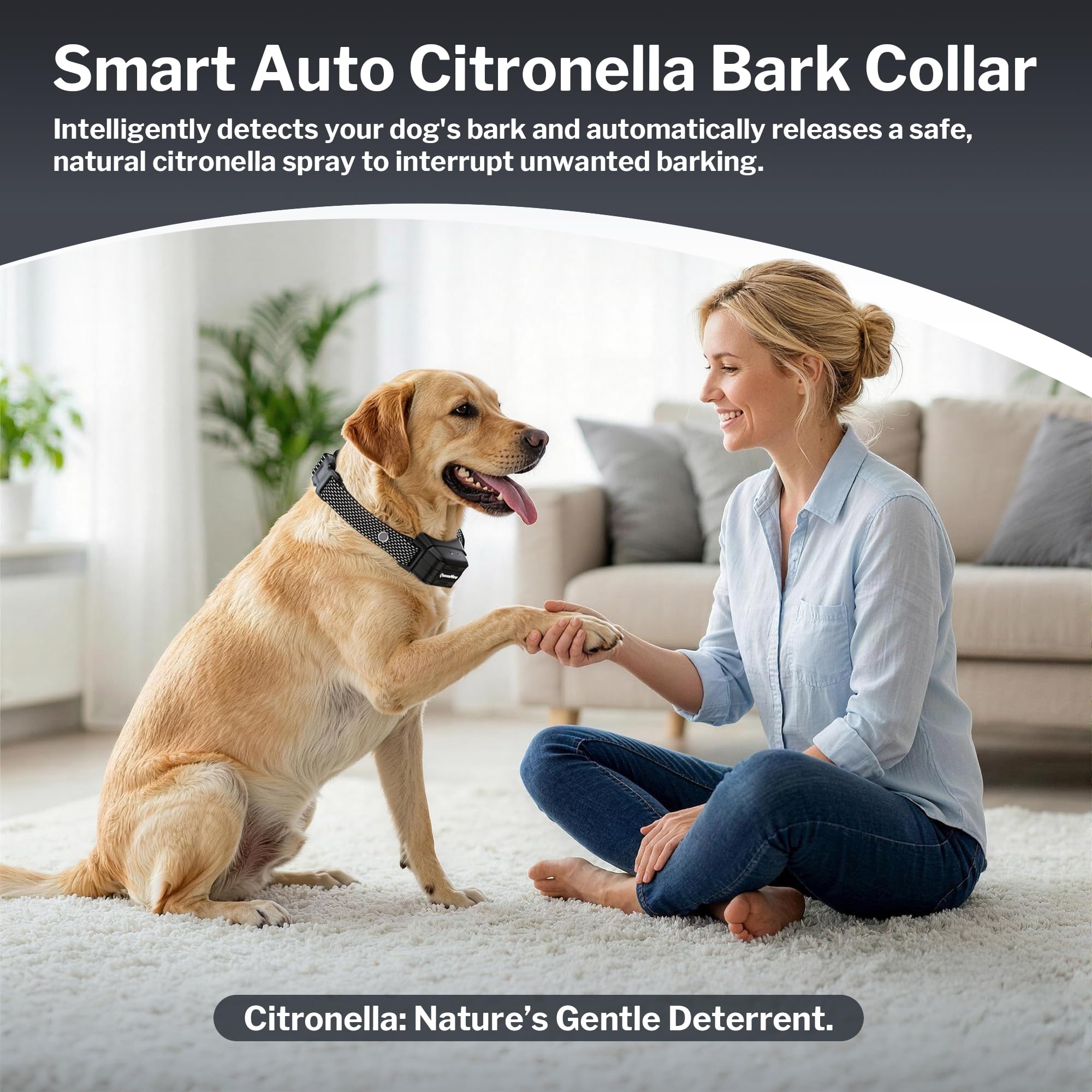 Queenmew bark collar water-resistant design for rainy days and muddy adventures.