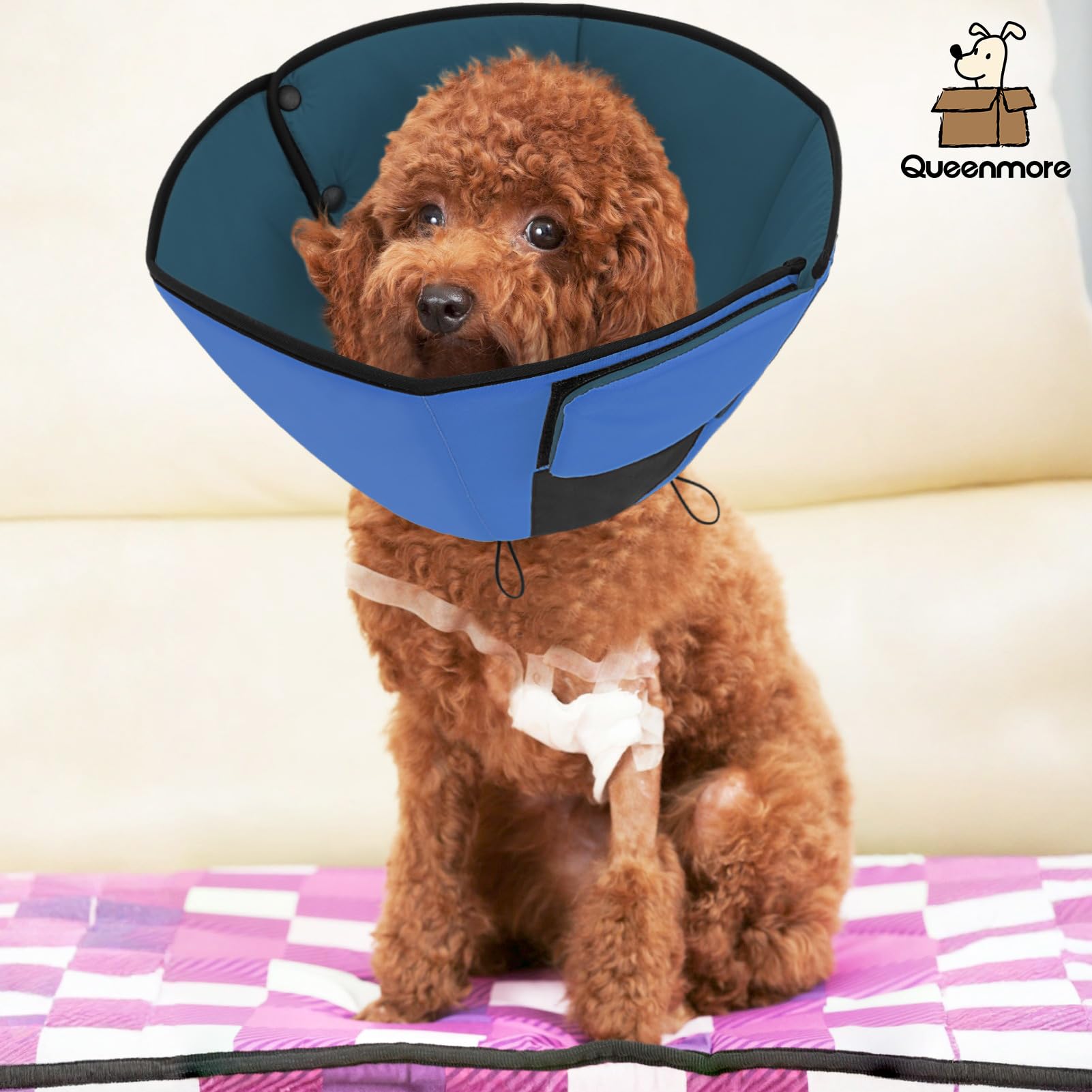 Queenmore cone available in sizes S to XL for most breeds.