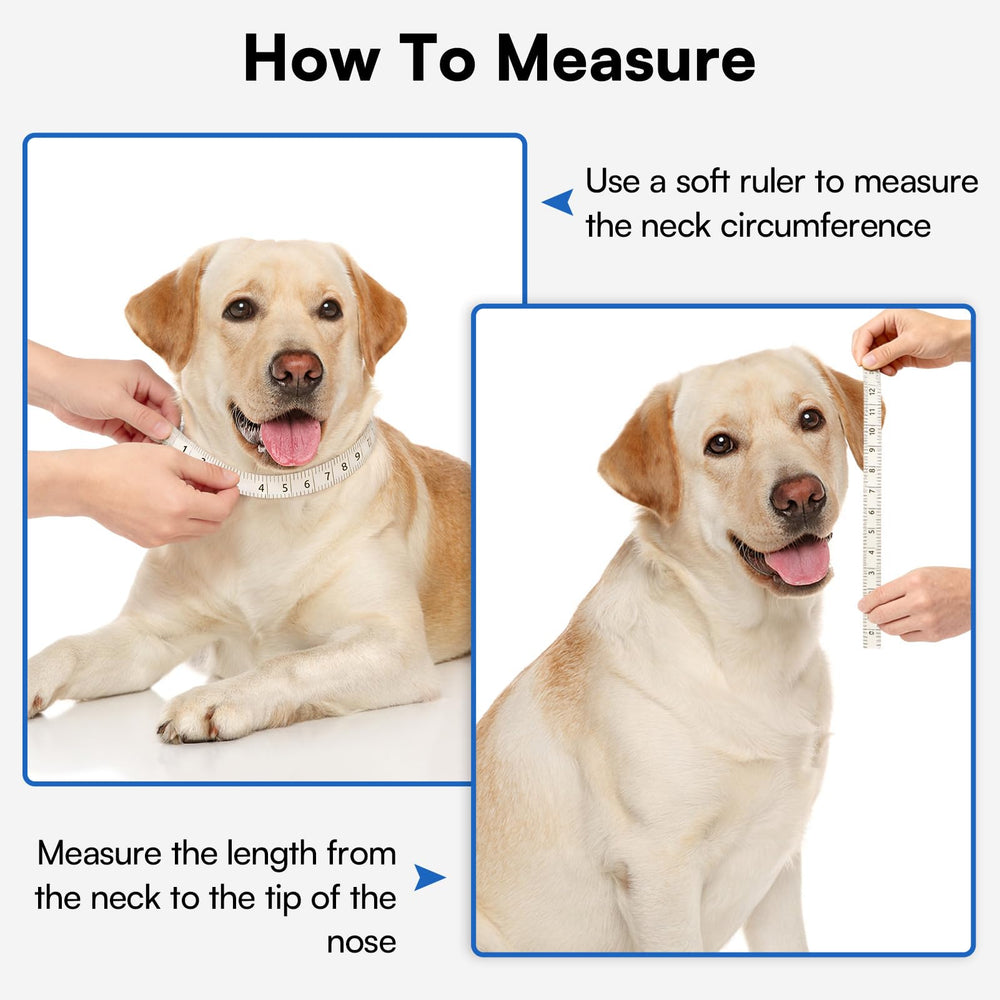 Queenmore cone suitable for grooming, injuries, and post-surgery care in blue.