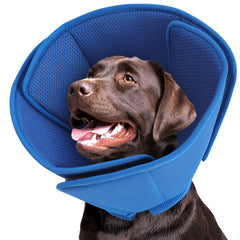 Queenmore soft dog cone in blue protects wounds while keeping pets comfortable.