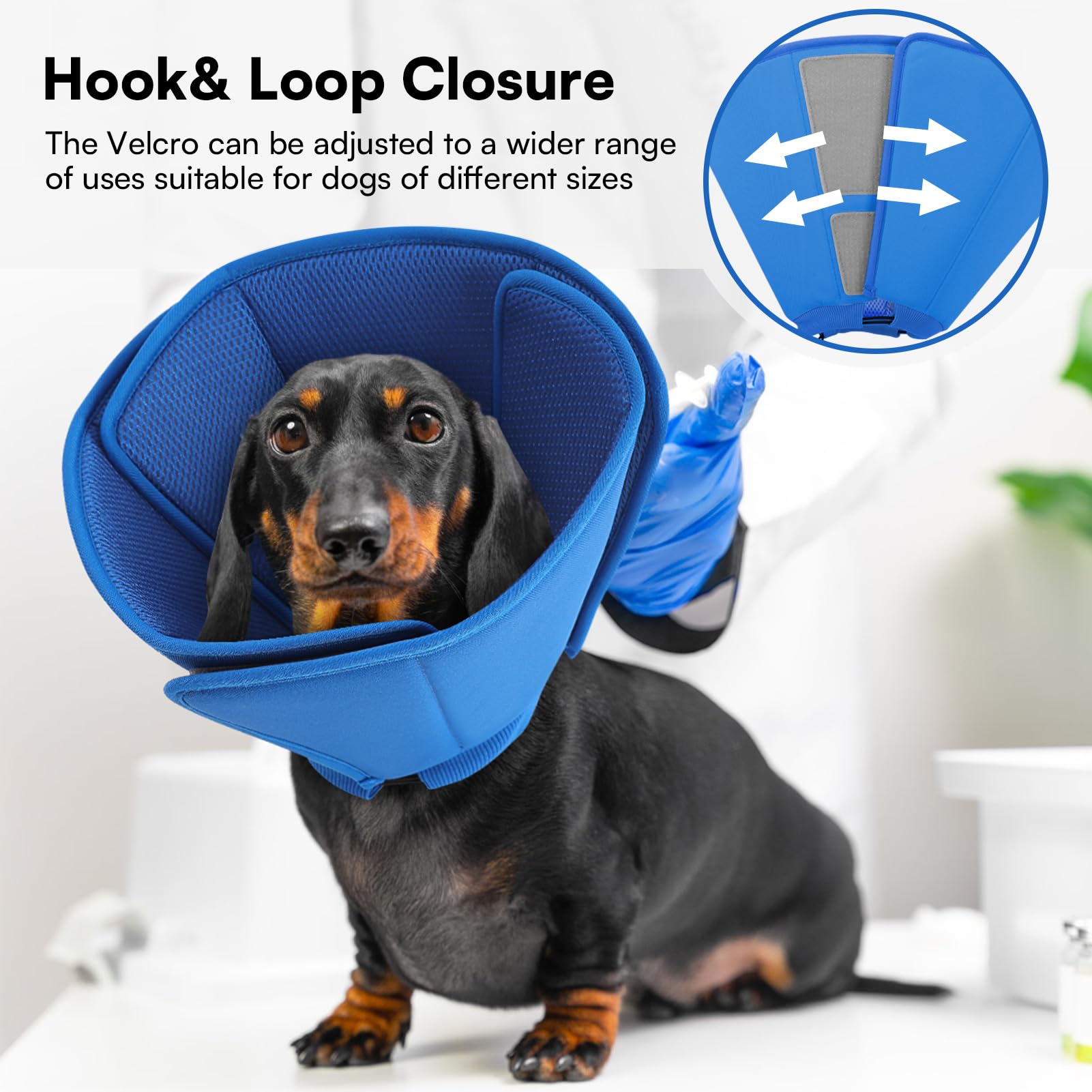 Queenmore blue recovery cone protects wounds during post-surgery care.