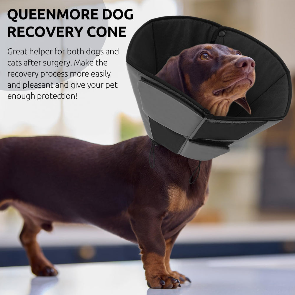 Queenmore Dog Cone XL fits all large breeds in sizes S through XL.