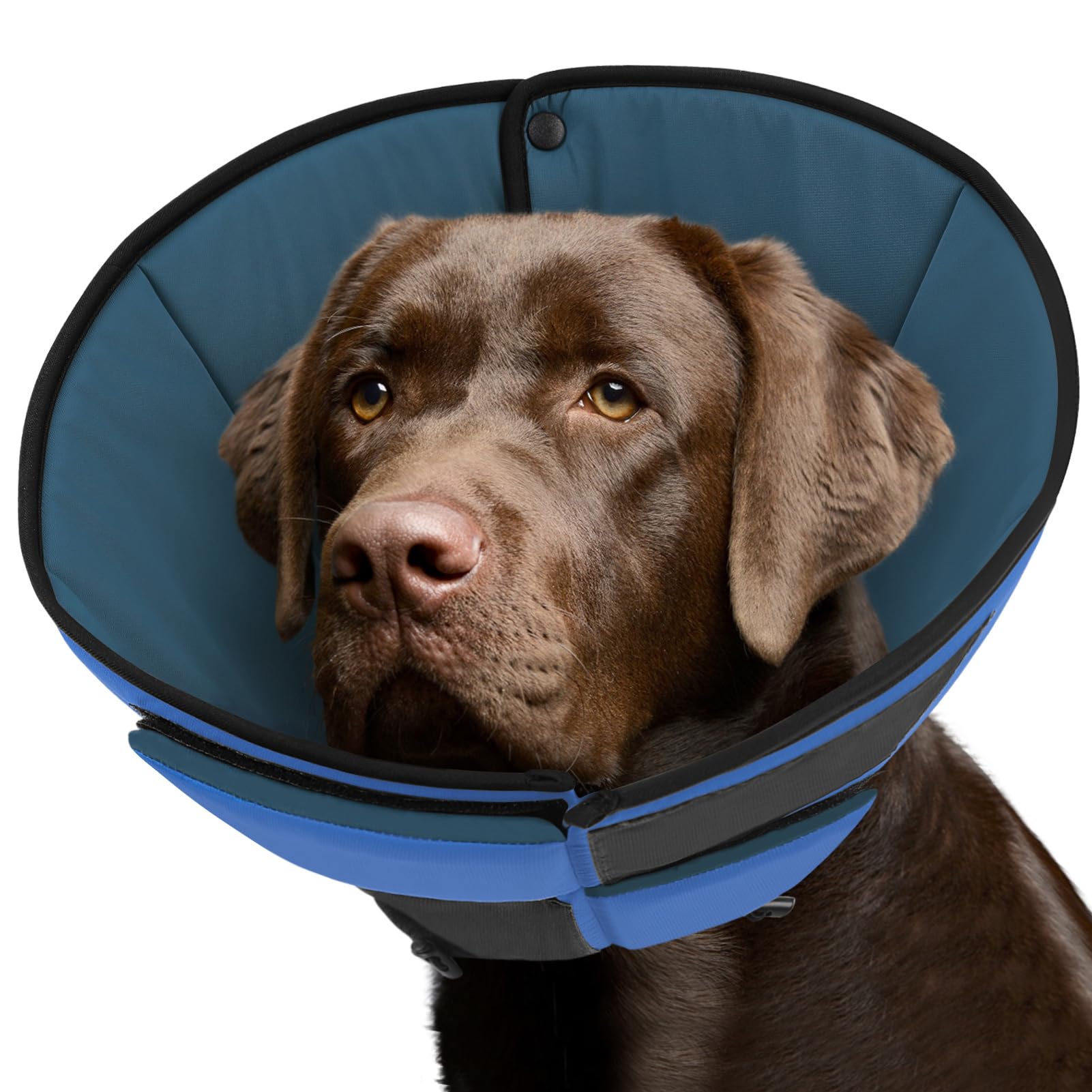 Queenmore Dog Cone XL soft recovery blue, provides soft recovery support while helping curb licking.