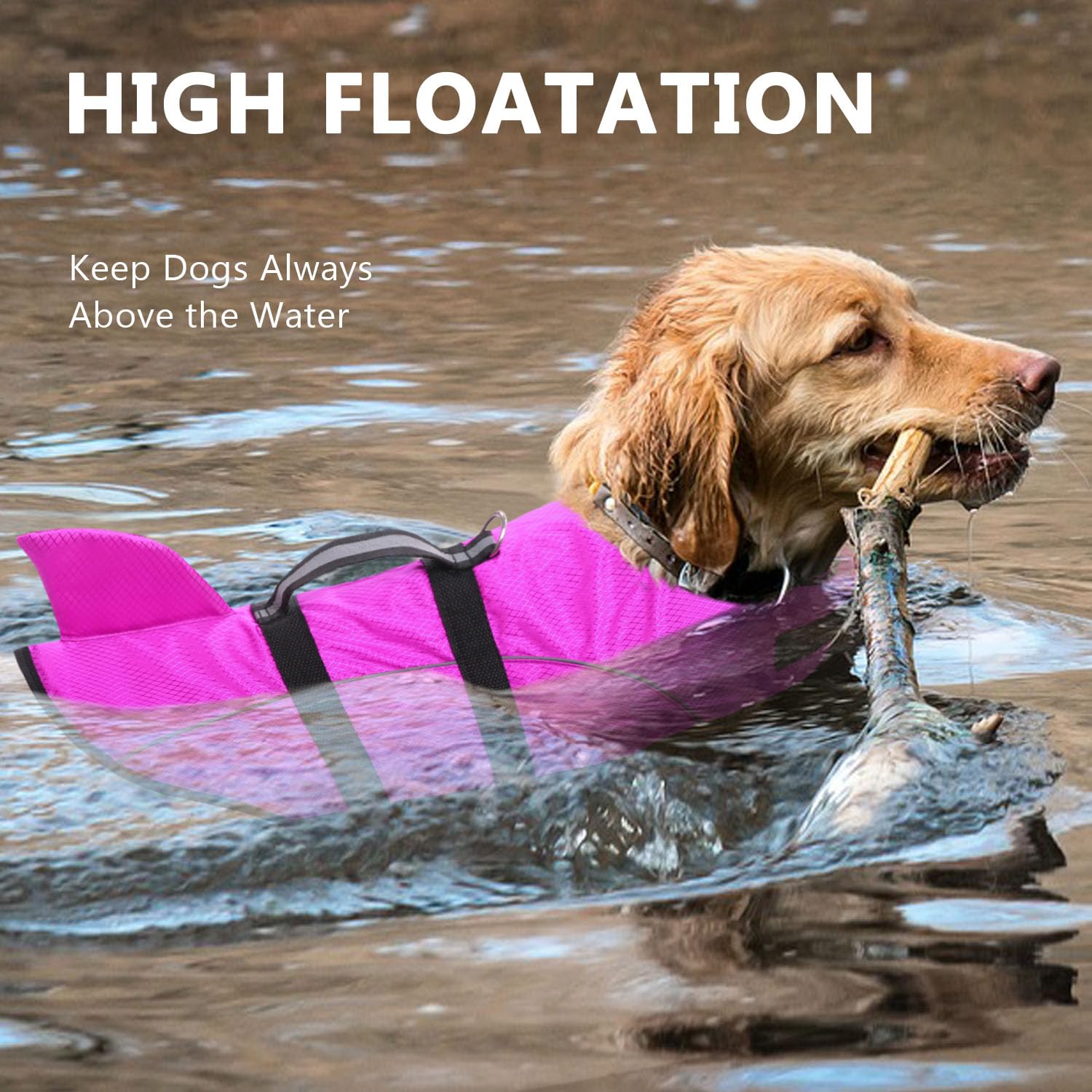 Queenmore dog life vest on shoreline demonstrates light buoyancy and comfort