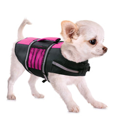 Queenmore small dog life jacket buoyancy supports safe swimming