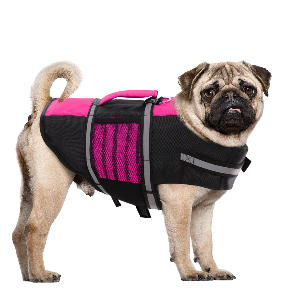 Queenmore lightweight design keeps dogs comfortable during water play
