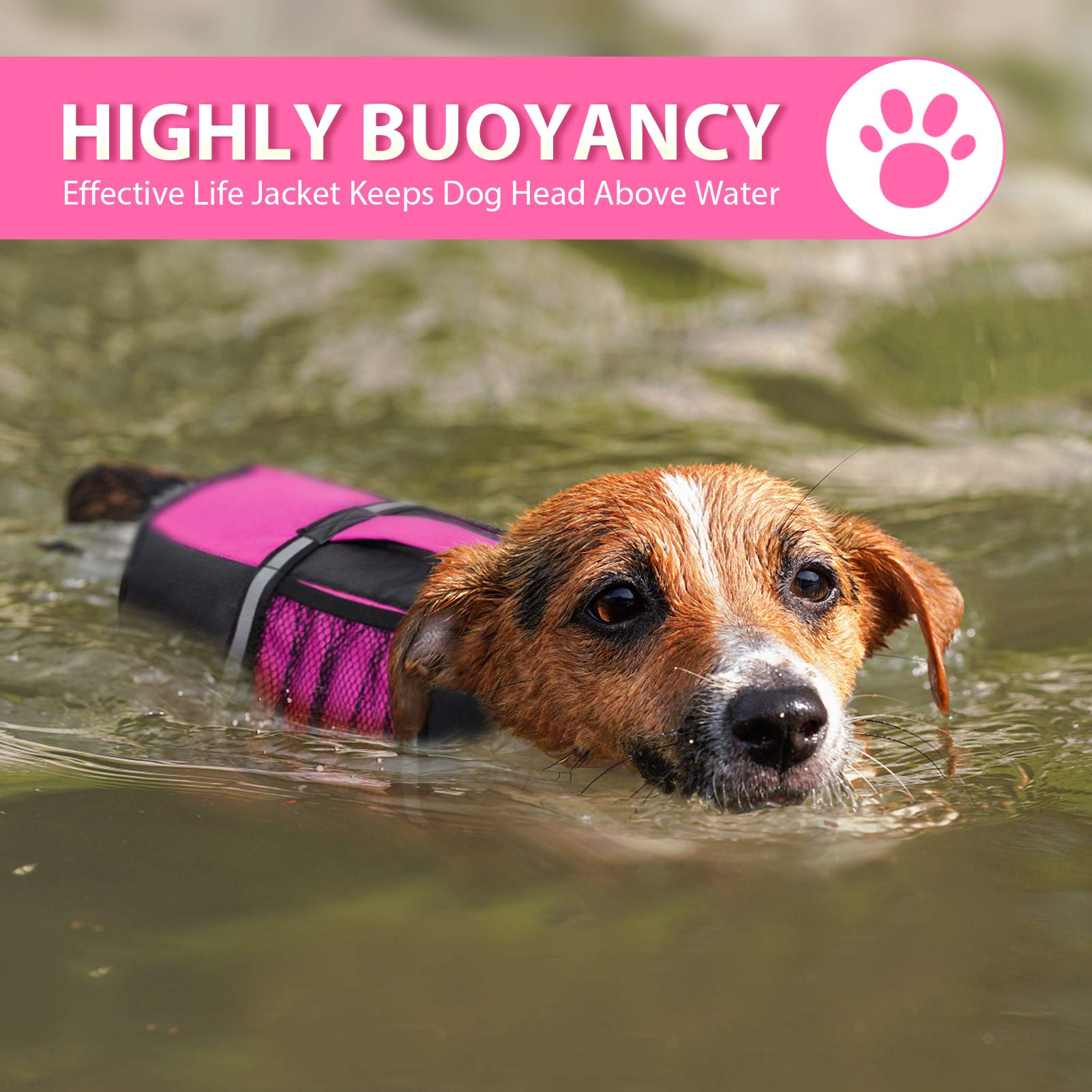 Queenmore life jacket leash ring adds safety and control