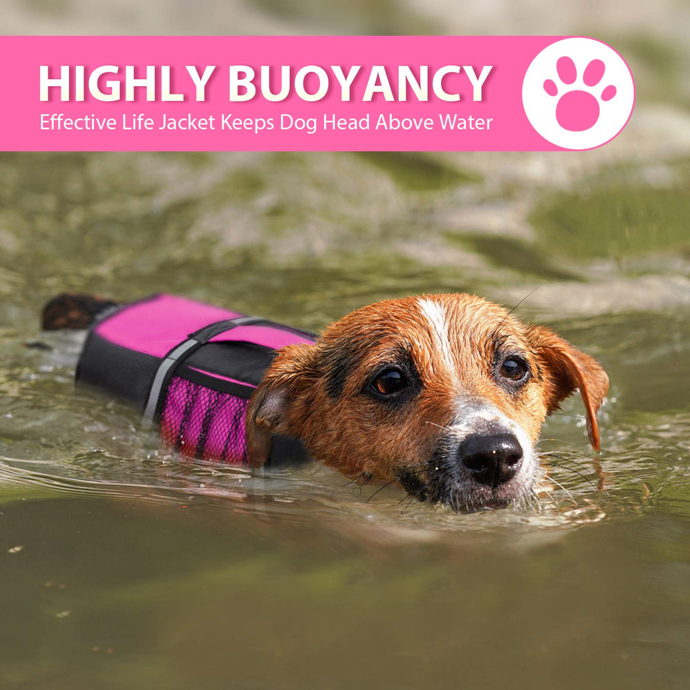 Queenmore life jacket leash ring adds safety and control