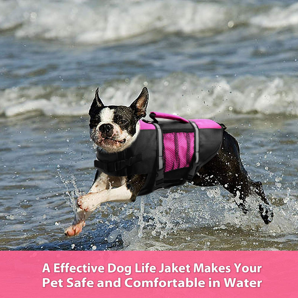 Queenmore small dog life jacket shown on a boat for safe boating