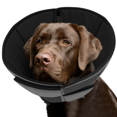 Queenmore soft dog cone for large breeds protects wounds with gentle support