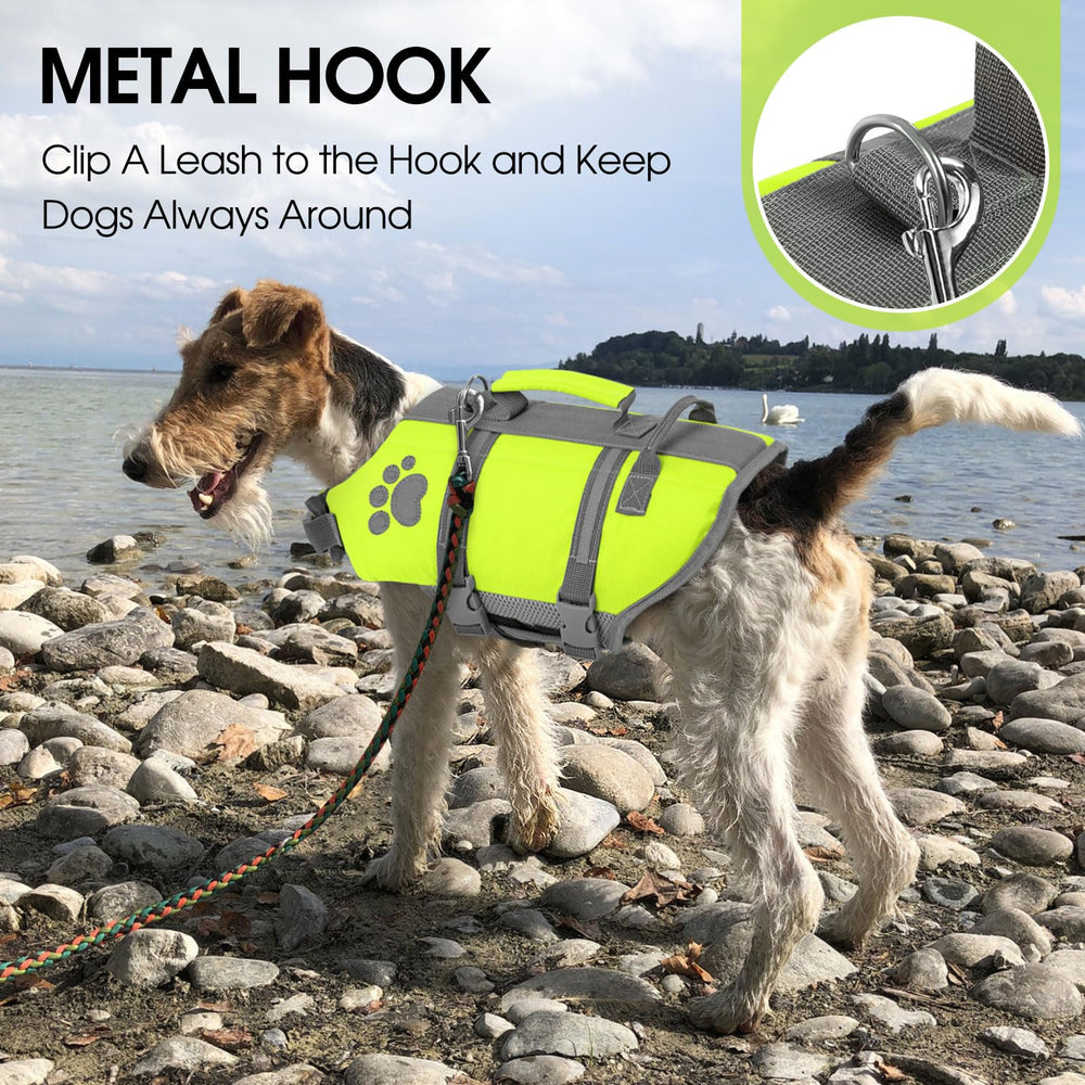 Queenmore XS dog life jacket neon colors boost visibility for safer outings.