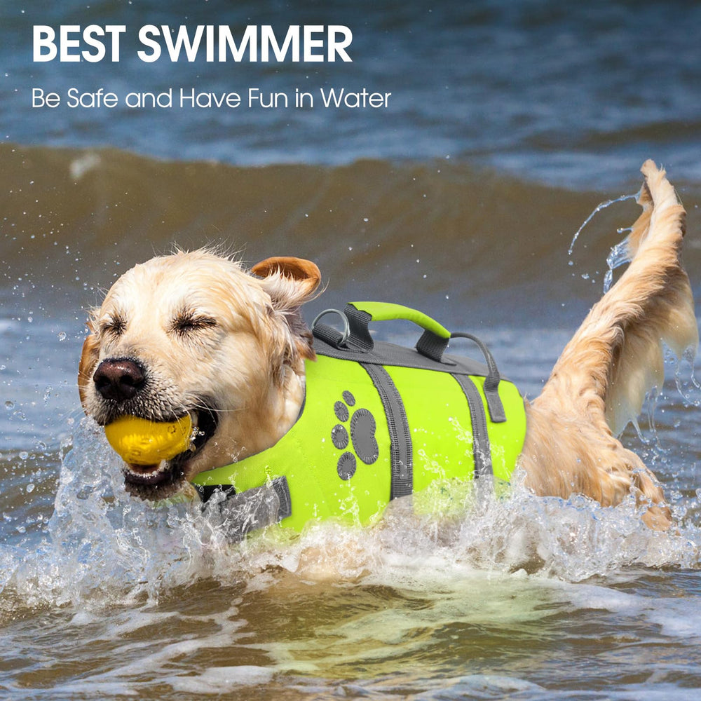 Queenmore XS dog life jacket on a boating scene, ready for water activity.