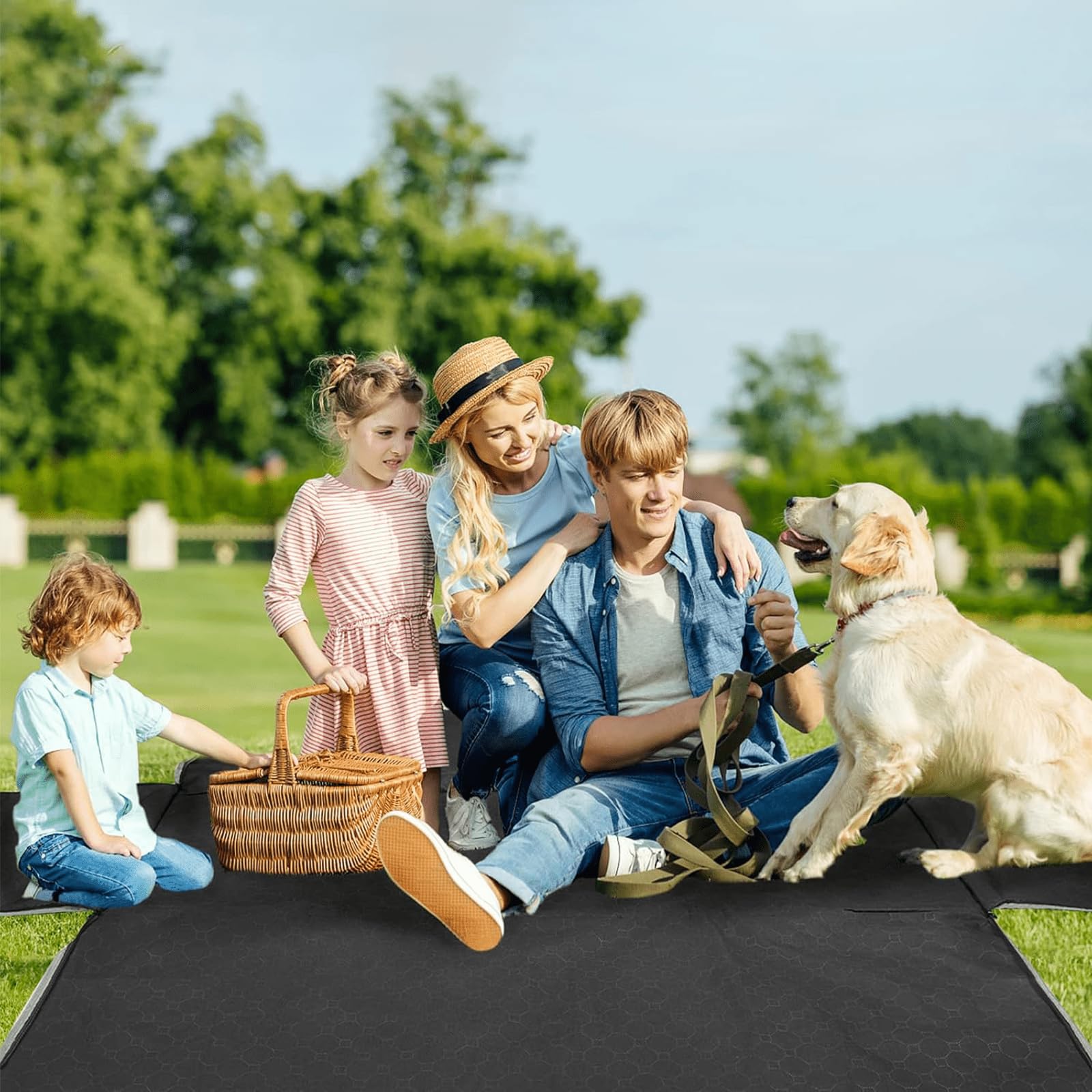 QUIBBLICK dog hammock for car creates a secure travel setup