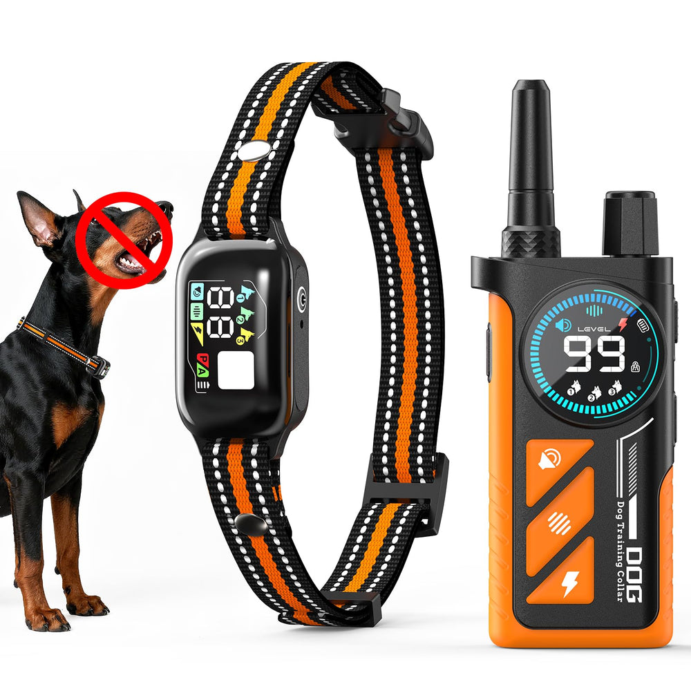 Quibre 2-in-1 bark collar and remote front view for versatile training.