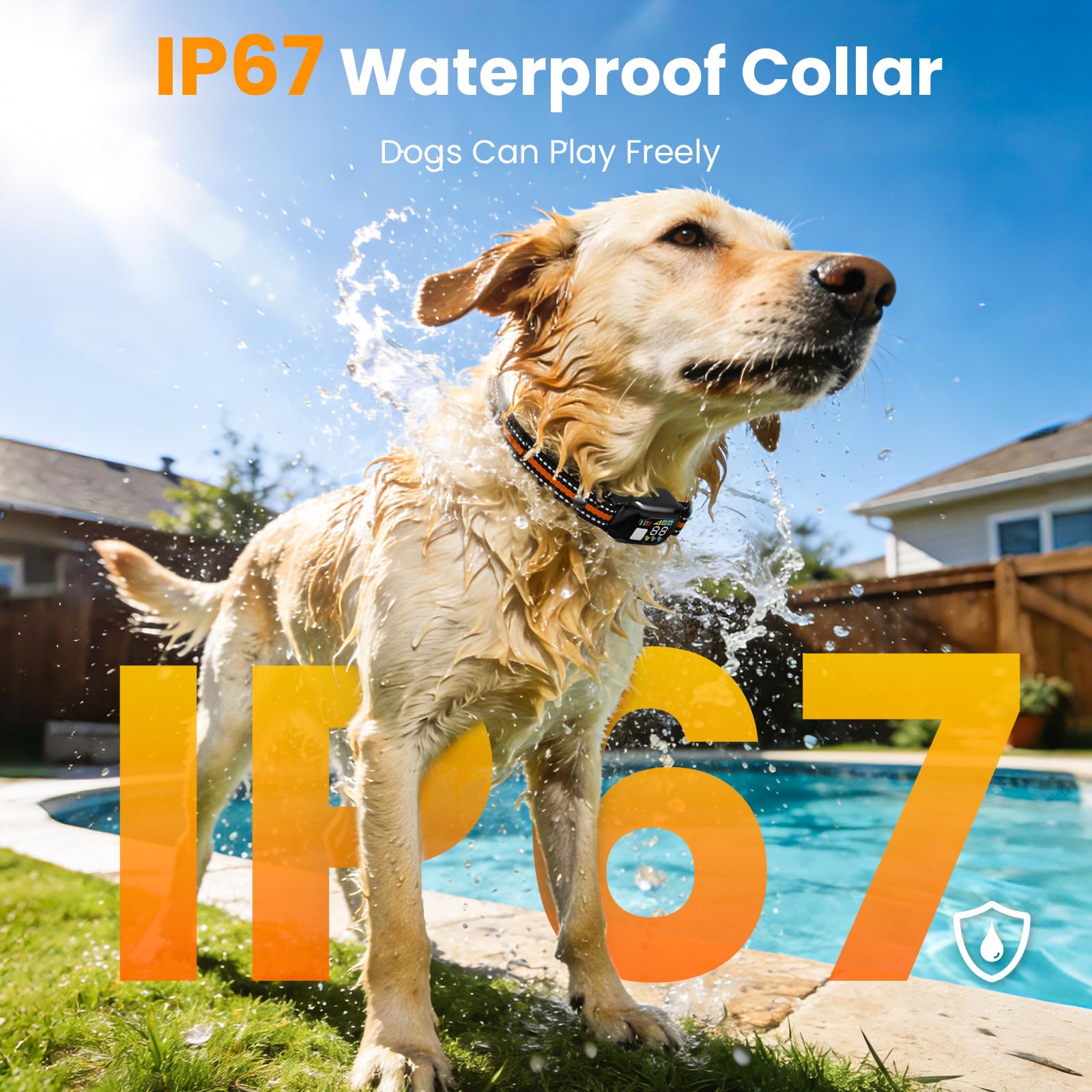 Quibre IP67 waterproof badge beside collar for durable outdoor use.