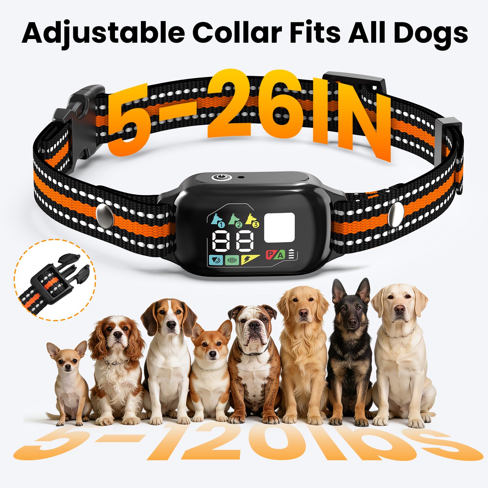 Quibre portable training collar in case for on-the-go use.