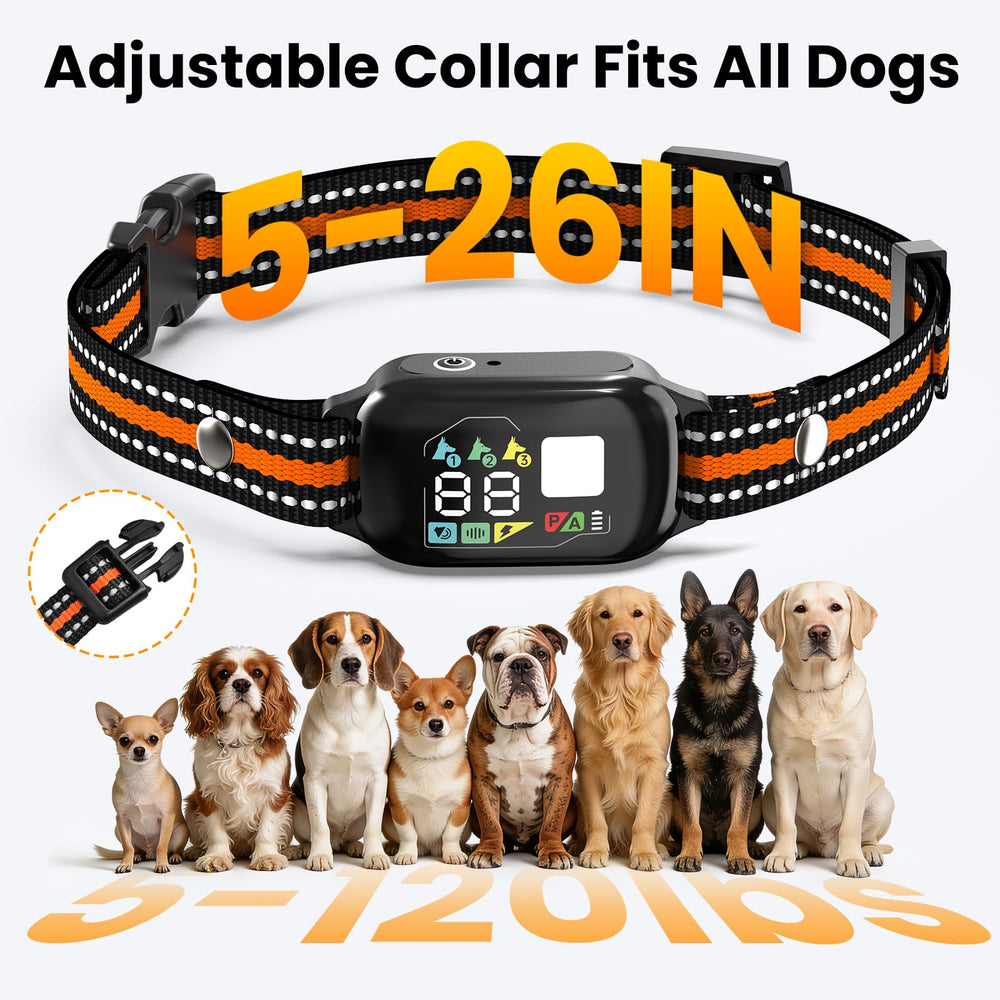 Quibre portable training collar in case for on-the-go use.