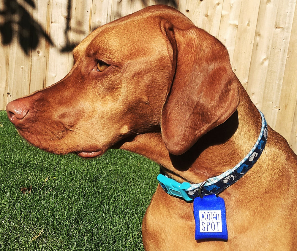 Quiet Spot pet tag silencer back view protects tags from wear.