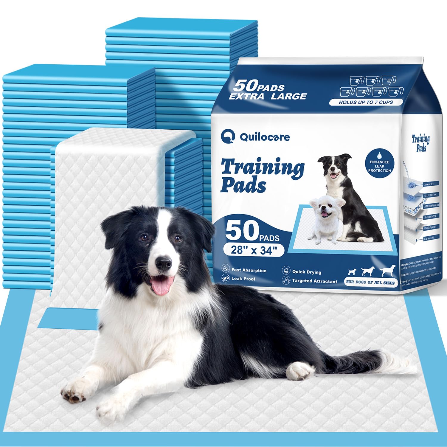 Quilocare 50-count XL pads pack-shot 28x34 for house training and floor protection.
