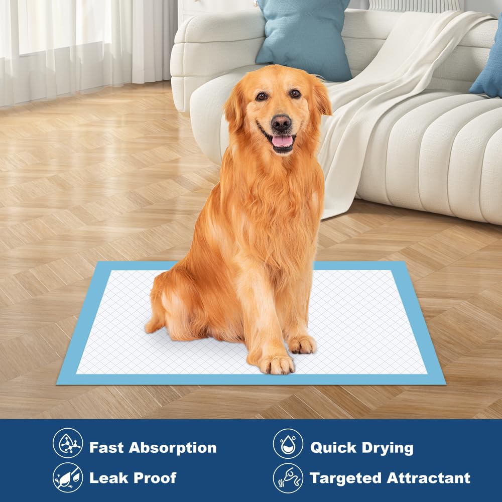 Quilocare training pads kept in crate with secure fit.