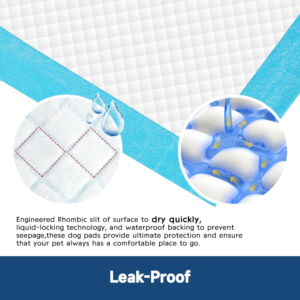 Quilocare multi-use pads arranged for training, travel, and crate use.