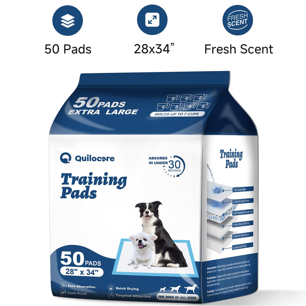 Quilocare 28x34 pads layout on floor protecting surface areas.