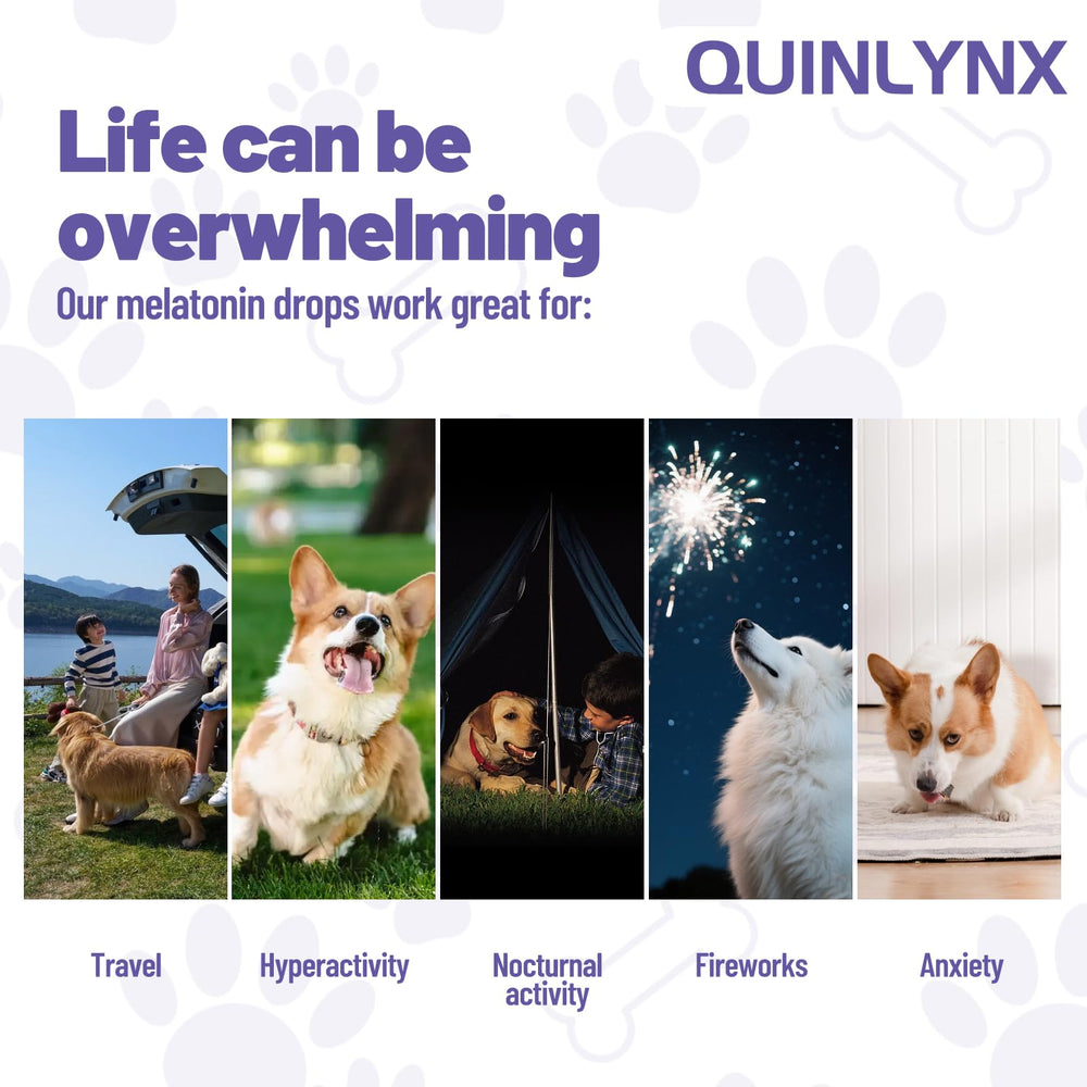 Quinlynx vitamin blend dog drops promote overall well-being