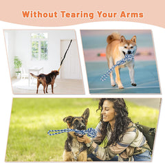 QUJOGA spring pole indoor mount demonstrates safe indoor play for dogs