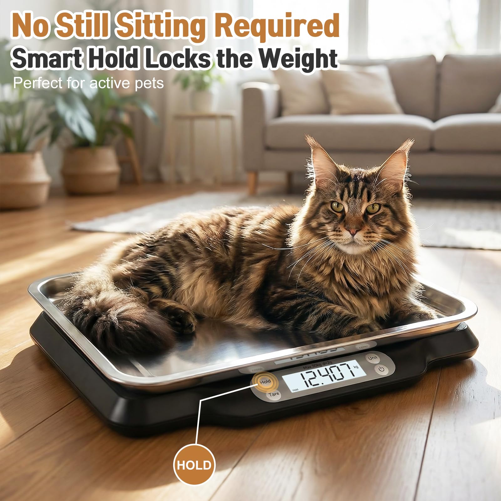 Qulable marker collar keeps pets identifiable during weigh-ins.