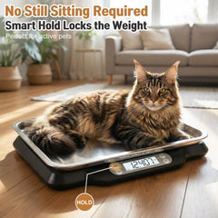 Qulable marker collar keeps pets identifiable during weigh-ins.