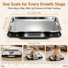 Qulable pet weight record card helps track growth milestones.