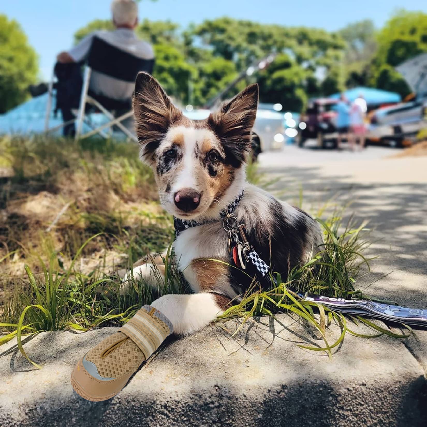 QUMY paw protection helps keep dogs comfortable on hot pavement