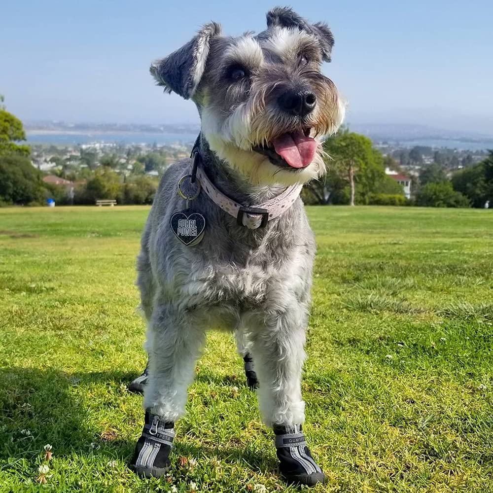 QUMY dog shoes ideal for outdoor hiking and rugged paths