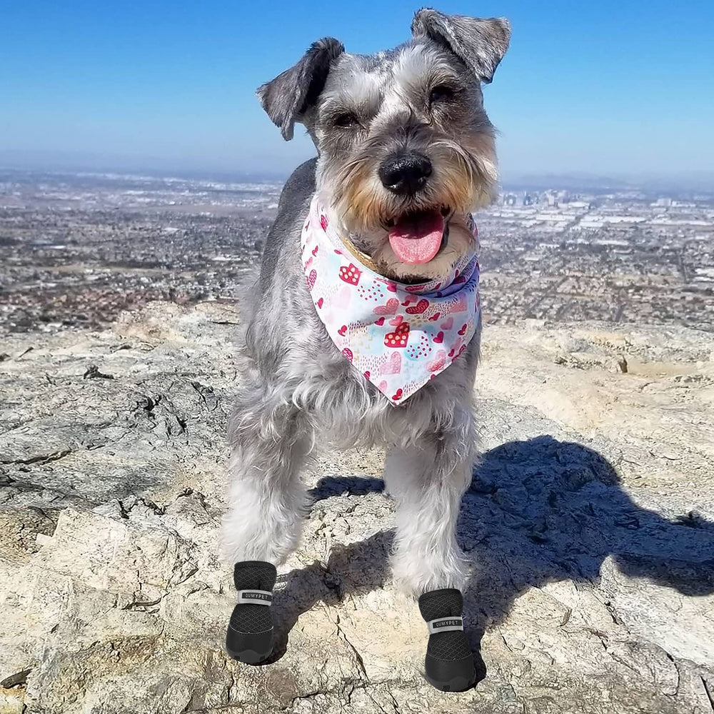 QUMY small dog shoes designed for tiny paws and secure sizing.