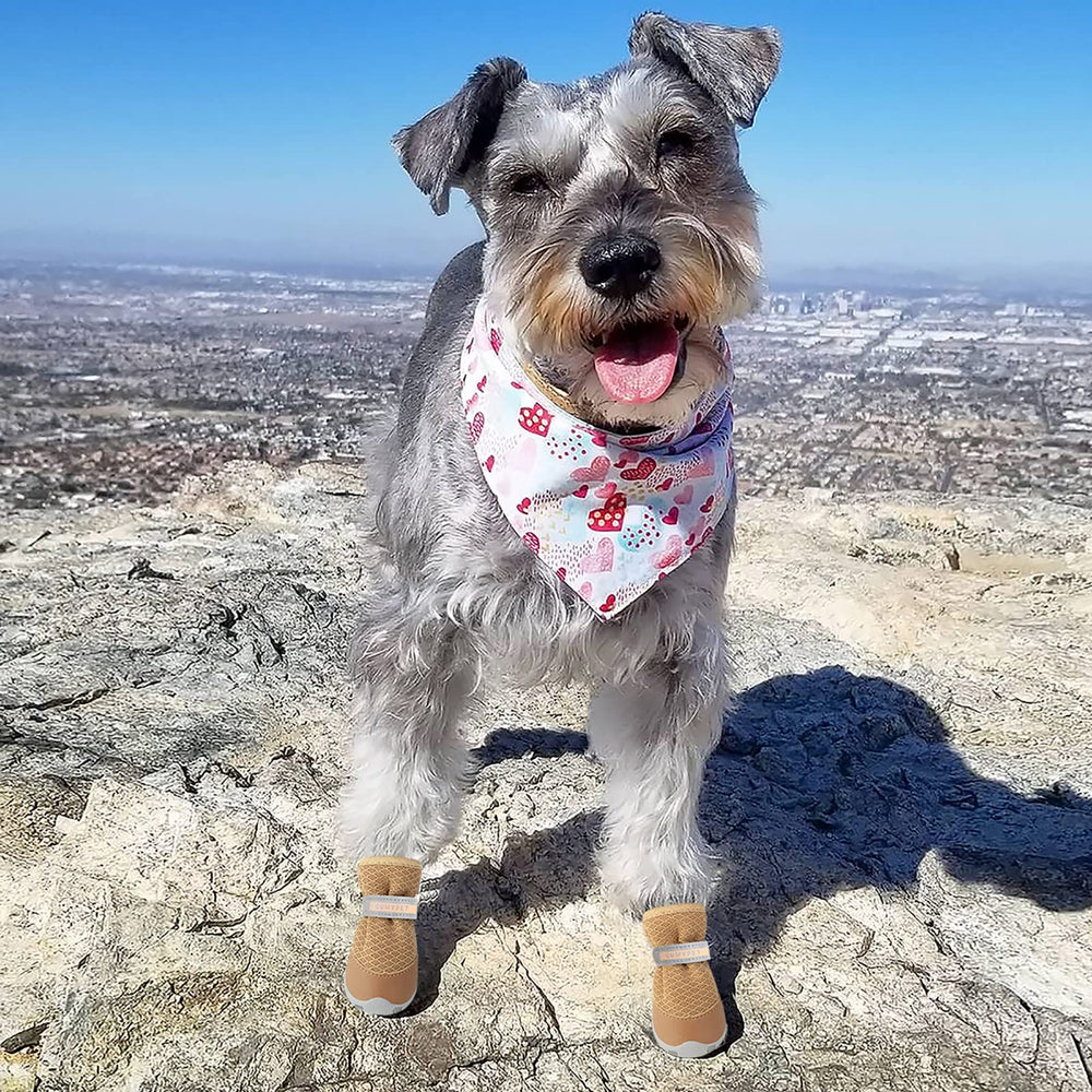 QUMY paw protection on floor during outdoor walks