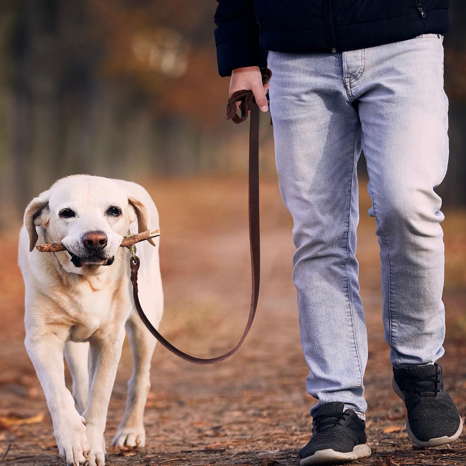 QUMY heavy-duty leash supports outdoor runs and strong pulling moments
