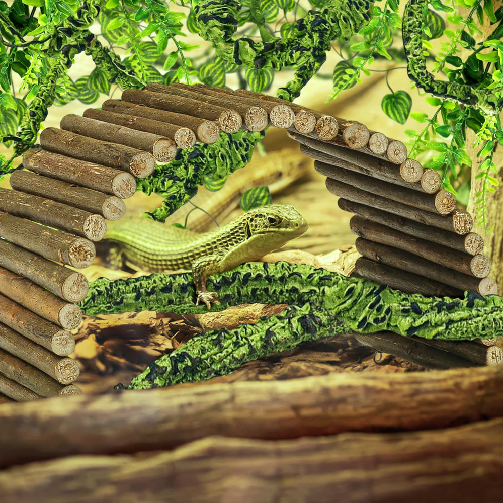 QUOZUO suction cups secure lightweight greenery to terrarium walls.