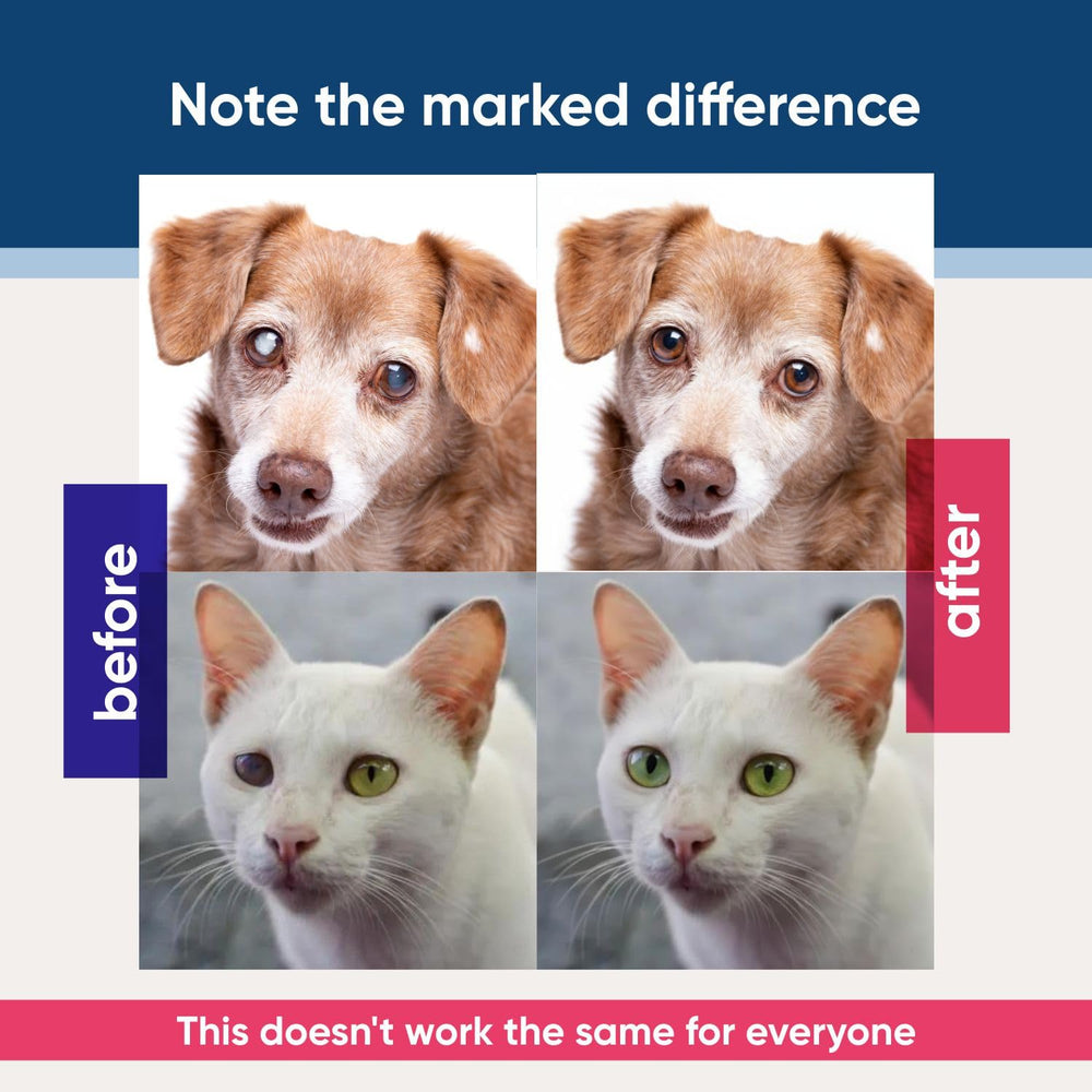 QUQU Natural Eyemycin cat and dog eye-care application showcases safe routine.
