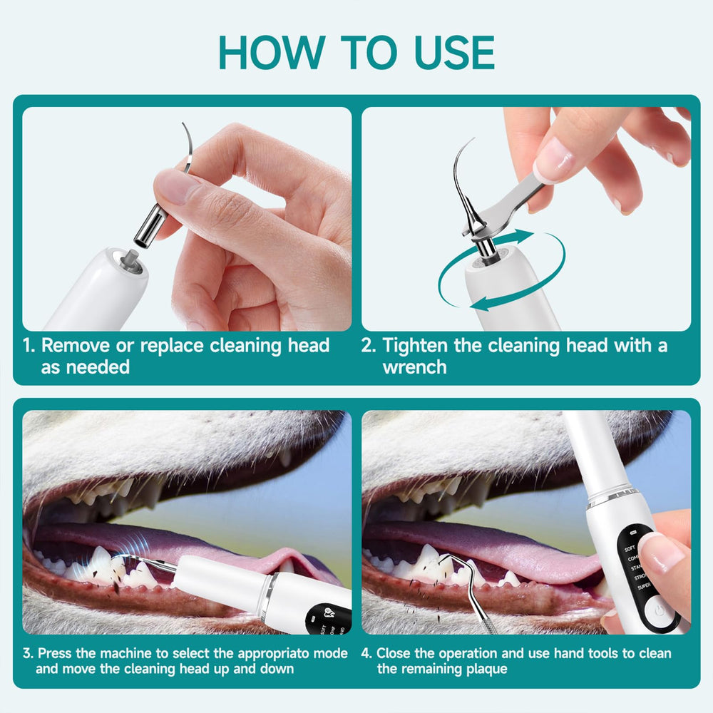 QVKHPCL pet dental care setup for convenient home maintenance