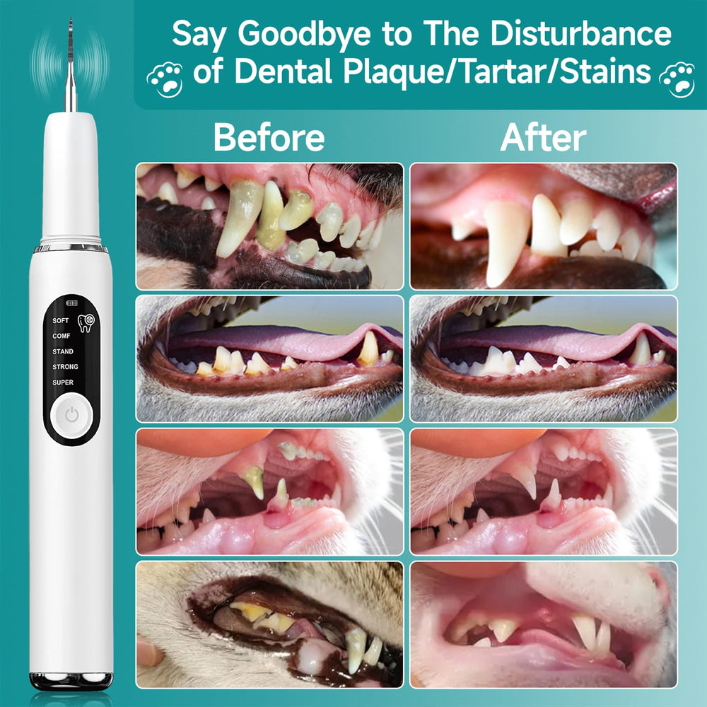 QVKHPCL smart safety features protect gums during home cleaning sessions
