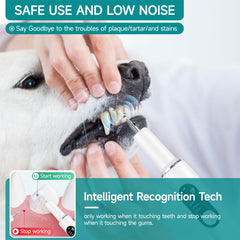QVKHPCL ultrasonic dog plaque remover with 38k vibrations for effective care