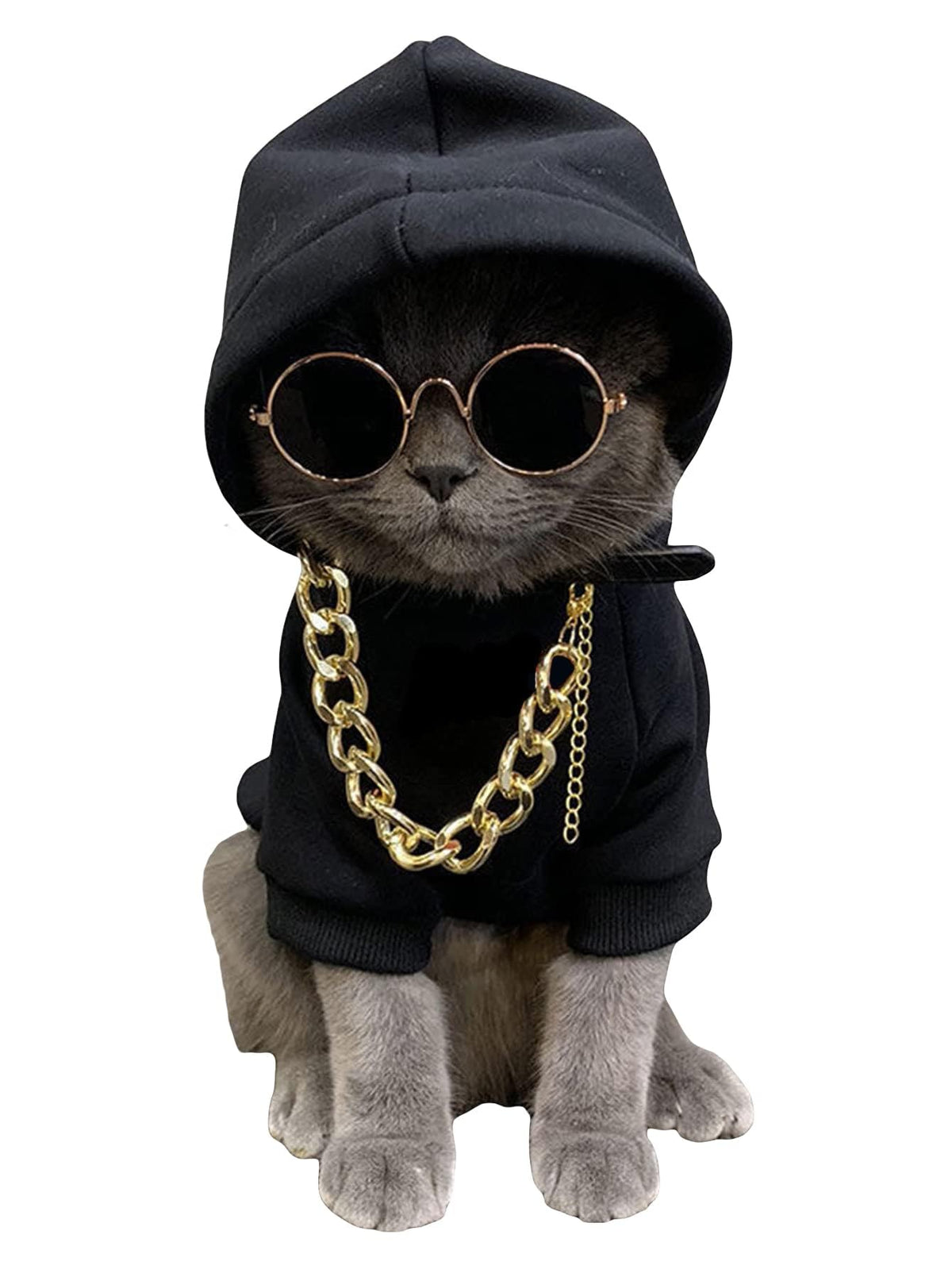QWINEE dog hoodie with necklace and sunglasses for cute outdoor looks.