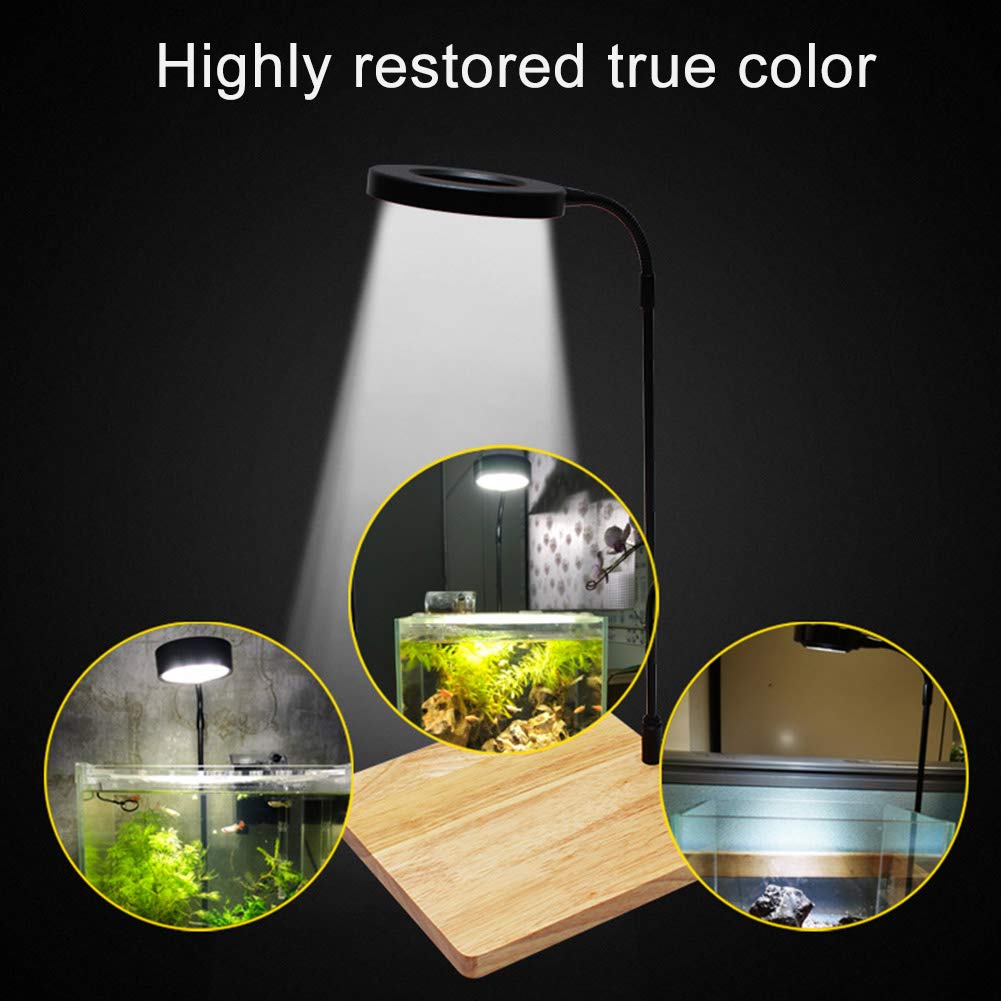 QWLWBU light supports healthy-looking aquatic plants with broad wavelength coverage.