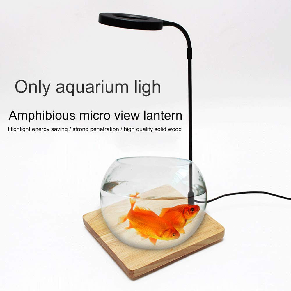 QWLWBU versatile light suitable for nano tanks, terrariums, and desks.