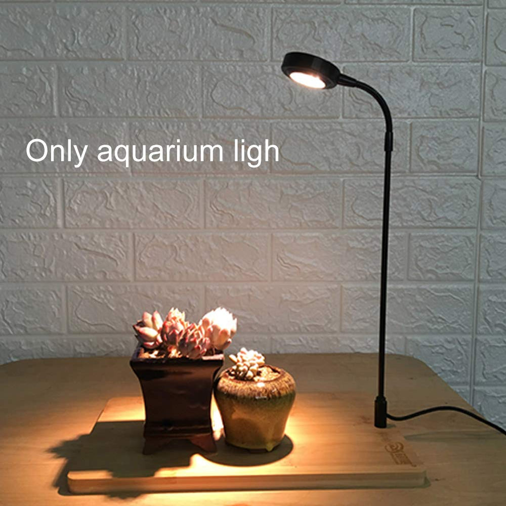 QWLWBU compact 10W unit enhances plant growth and color in small setups.